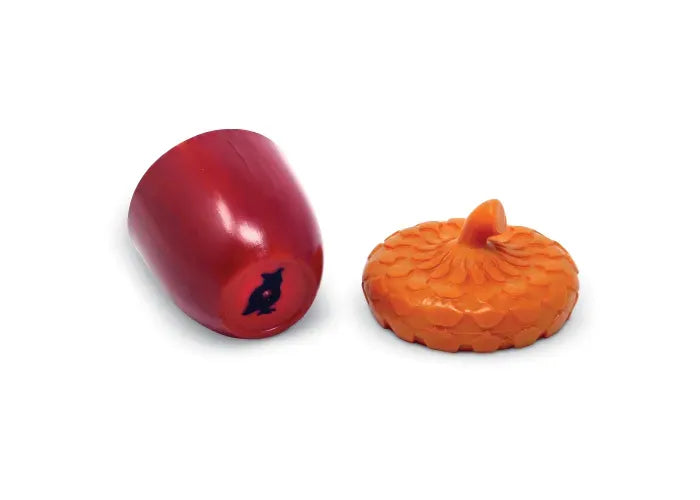 Learning Resources Discovery Acorns