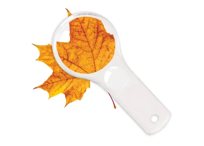 Learning Resources Dual Lens Magnifiers