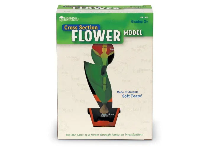 Learning Resources Soft Foam Cross-Section Flower Model