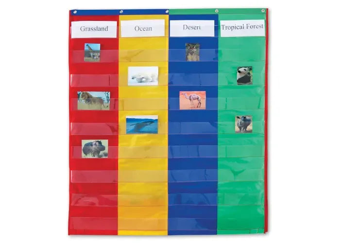 Learning Resources 2- & 4-Column Double-Sided Pocket Chart